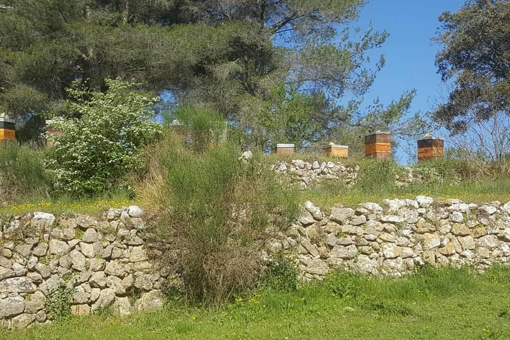 Charmant Appartement Neuf Le Taoume Marselha Exterior foto